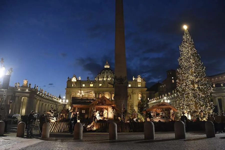The 2019 Vatican nativity scene and Christmas tree. Credit: Vatican Media.
