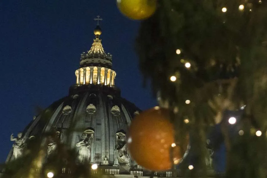 Christmas tree in St. Peter's Square on December 9, 2016. Credit: Vatican Media/CNA.