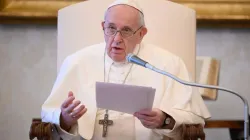 Pope Francis speaks at a general audience in the apostolic library. Credit: Vatican Media