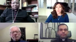 Section of panelists during the webinar on financial transparency for Catholic Dioceses 11 February 2021 / Global Institute of Church Management