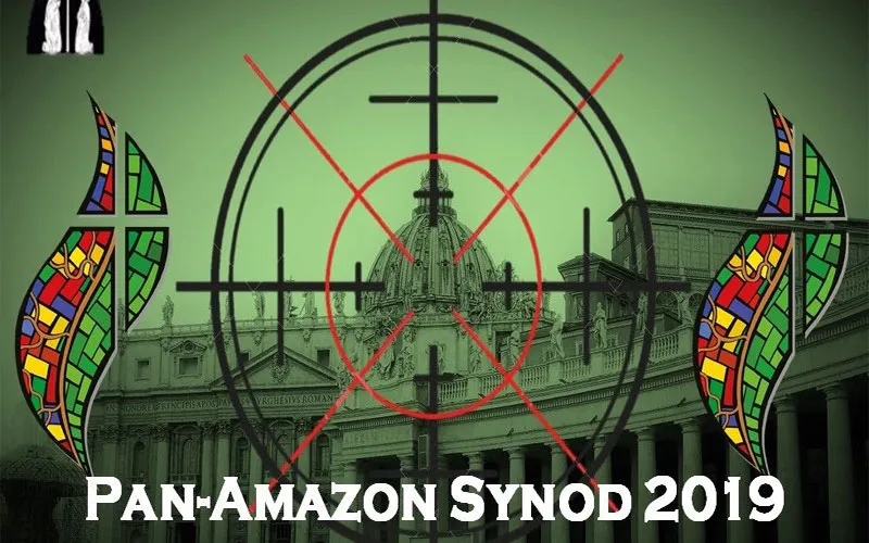 Amazon Synod Who are the Africans and Africabased Participants?