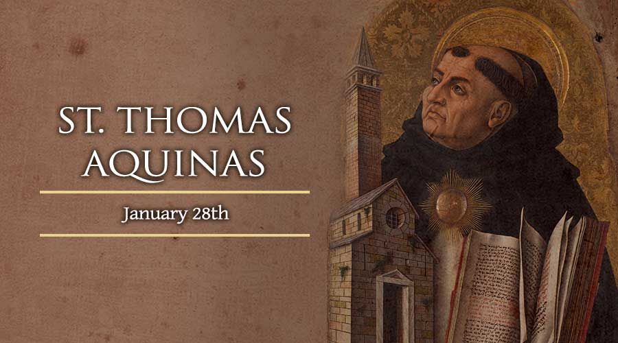 Today, January 28, We Celebrate Saint Thomas Aquinas, Doctor of the Church