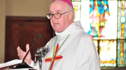 Bishop Alain Harel appointed by Pope Francis to succeed Bishop-emeritus Denis Wiehe as the Bishop Denis Local Ordinary of the Diocese of Port Victoria in Seychelles.