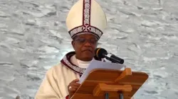 Bishop Godfrey Onah of the Catholic Diocese of Nsukka. Credit: Nsukka Diocese/Facebook