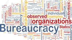 Representation of bureaucracy in organizations