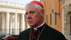 Cardinal Gerhard Ludwig Mueller / Daniel Ibanez/CNA
