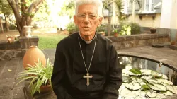 Maurice Cardinal Piat, Bishop of Mauritius' Port-Louis Diocese.