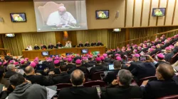 The opening of the Amazon synod at the Vatican's Synod Hall, Oct. 7, 2019./ Daniel Ibáñez/CNA.