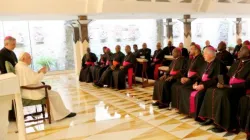 Pope Francis with members of the Southern African Catholic Bishops' Conference (SACBC) during a private meeting on 16 June 2023. Credit: SACBC