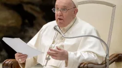 Pope Francis speaks at his general audience in Paul VI Hall on Jan. 18, 2023. | Daniel Ibanez/CNA