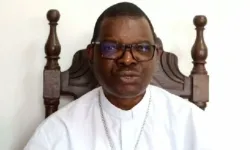 Bishop António Manuel Bogaio Constantino. Credit: Archdiocese of Maputo