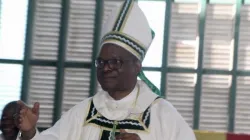 Bishop António Manuel Bogaio Constantino. Credit: Comboni Missionaries in Mozambique