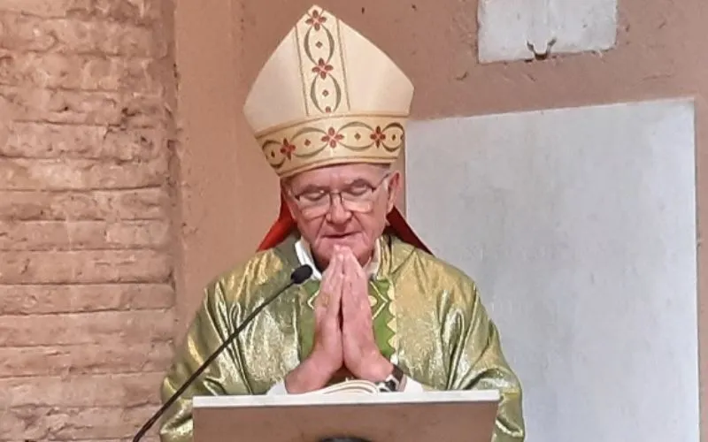 Let’s Pray for “end to this horrifying violence”: South African Cardinal on Gaza Conflict