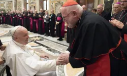 Cardinal Reinhard Marx and fellow bishops from Germany meeting with Pope Francis at the Vatican, Nov. 17, 2022 | Vatican Media