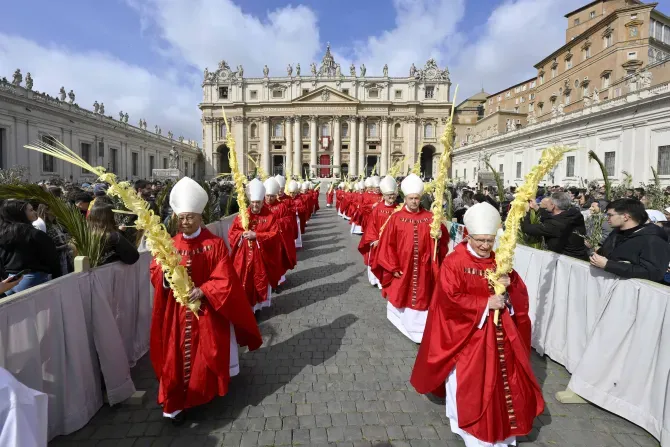 On Palm Sunday, hundreds of priests, bishops, cardinals, and lay people solemnly carried large palm branches in procession through St. Peter Square. | Vatican Media