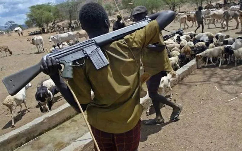 Armed Fulani Herdsmen in Plateau State, Nigeria. Credit: Fr. Justine John Dyikuk