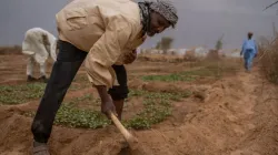 One of the beneficiaries of the project tends to the vegetable garden. Credit: JRS