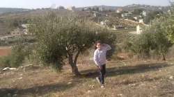 Olive harvest season in the southern border town of Rmeish, Lebanon, in the midst of a crisis situation. | Credit: Rmeish’s Facebook page