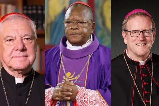 Cardinal Gerhard Ludwig Müller, Cardinal Fridolin Ambongo, and Bishop Robert Barron. | Credit: Alan Koppschall/EWTN; ACI Africa; Courtesy of DeChant-Hughes Public Relations
