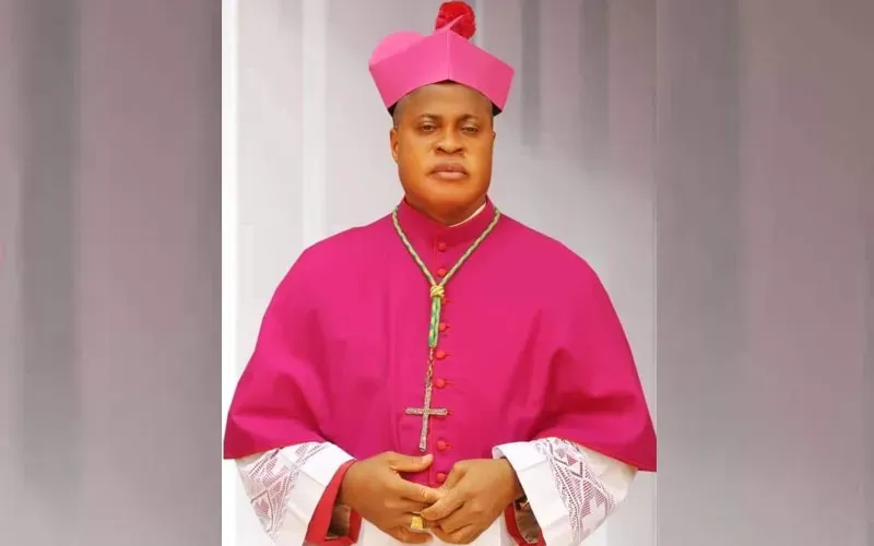 Peter Ebere Cardinal Okpaleke of Nigeria’s Ekwulobia Diocese. Credit: Courtesy Photo