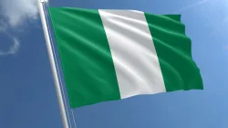 Flag of Nigeria. Credit: Public Domain