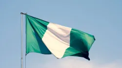Flag of Nigeria / Labrador Photo/Shutterstock