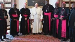 Pope Francis with members of the Zimbabwe Catholic Bishops’ Conference (ZCBC). Credit: Catholic Church News Zimbabwe