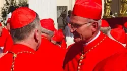 Stephen Cardinal Brislin exchanges pleasantries with other cardinals at the the September 30 consistory in St. Peter's Square. Credit: Sheila Pires/ Southern African Catholic Bishops' Conference (SACBC)