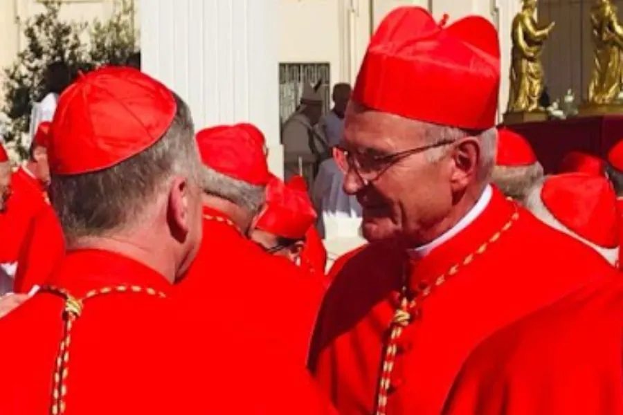 Stephen Cardinal Brislin exchanges pleasantries with other cardinals at the the September 30 consistory in St. Peter's Square. Credit: Sheila Pires/ Southern African Catholic Bishops' Conference (SACBC)