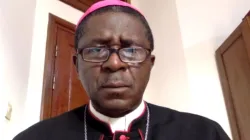 A screenshot of Archbishop Andrew Fuanya Nkea of Bamenda Archdiocese in Cameroon during the 15 Nivember 2023 webinar.
