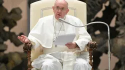 Pope Francis during the general audience Wednesday, October 28, 2020. / Vatican News