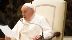 Pope Francis speaks at his Wednesday audience in Paul VI Hall on Nov. 29, 2023. | Elizabeth Alva/EWTN