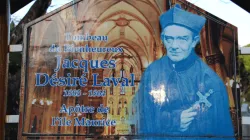 Blessed Jacques-Désiré Laval. / Diocese of Port-Louis
