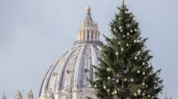 The dome of St. Peter’s Basilica and the Vatican Christmas tree, Dec. 9, 2021. Daniel Ibáñez/CNA.