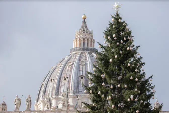 A Christmas tree in St. Peter's Square. | Daniel Ibáñez/CNA.