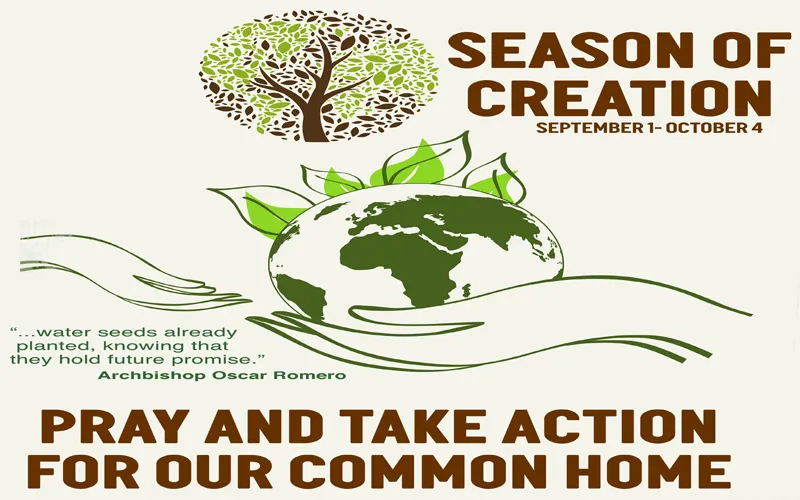 Logo Season of Creation 2020.