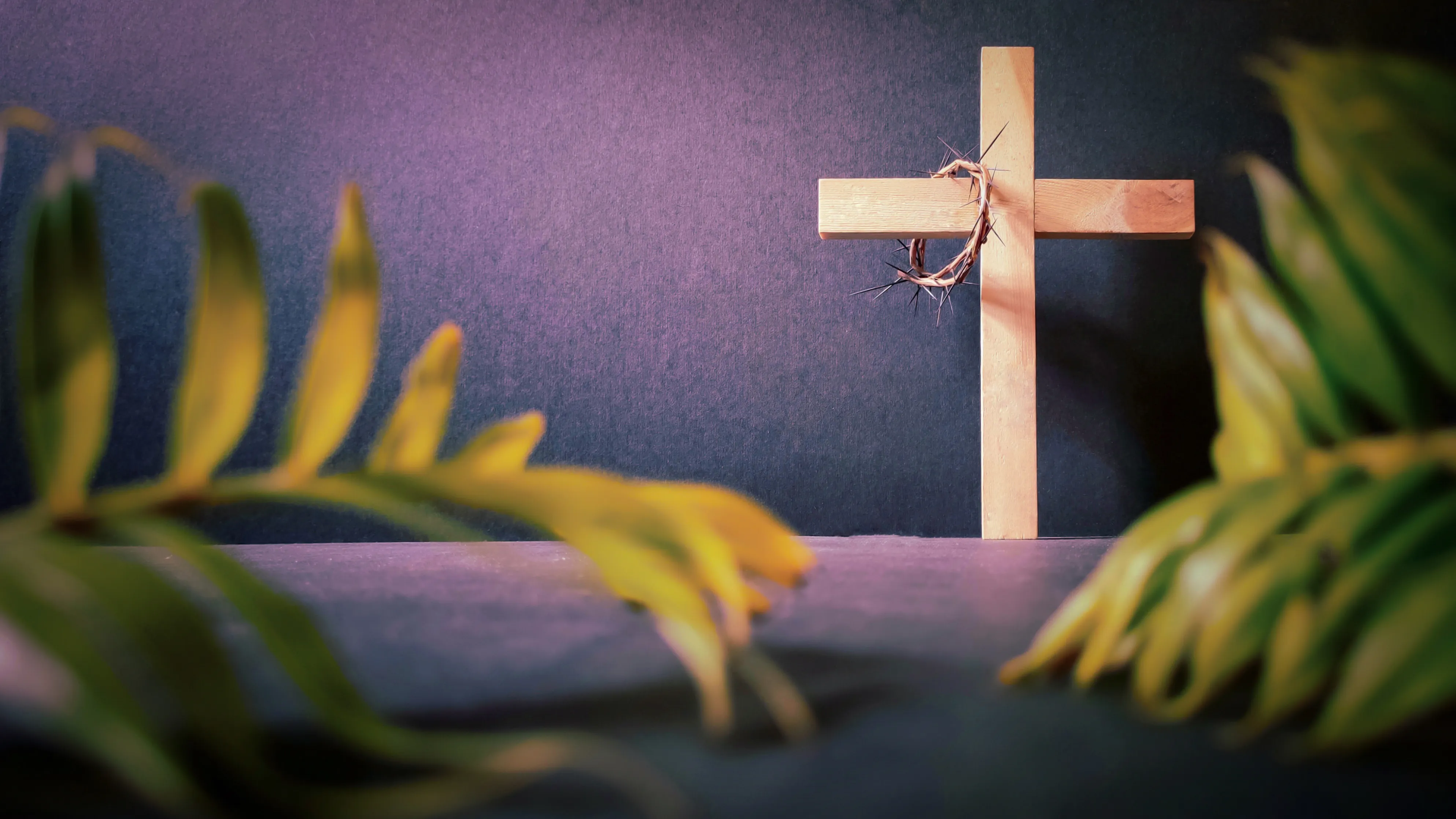How to Obtain a Plenary Indulgence during Holy Week 2024