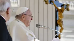 Pope Francis spoke about his recent trip to Mongolia during the general audience in St. Peter's Square on Sept. 6, 2023. | Vatican Media