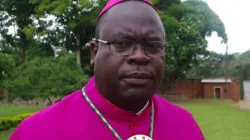 Archbishop-elect George Desmond Tambala. Credit: Courtesy Photo