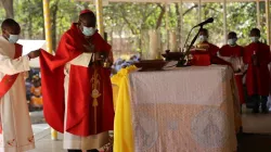 Archbishop George Desmond Tambala presiding over the launching of the Archdiocesan Day of the Laity and the 2022-2023 Archdiocesan Mini Synod in Lilongwe Archdiocese. Credit: ECM