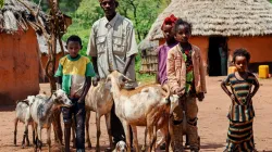 In 2011, Ethiopia experienced its worst drought for 50 years. Millions of livestock perished across the country, many of which were unable to find food or water in the bleached landscape of Borana zone, Ethiopia’s water-stressed southernmost region. Credit: Trócaire