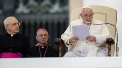 Pope Francis at the general audience, Nov. 16, 2022 | Daniel Ibáñez / CNA