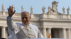 Pope Leo XIV waves from the popemobile during an Oct. 15, 2025 public audience in St. Peter's Square. / Credit: Daniel Ibanez/CNA.