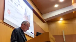 Cardinal Pietro Parolin speaks at the release of Aid to the Church in Need’s “Religious Freedom in the World Report 2025” at the Vatican on Oct. 21, 2025. / Credit: Daniel Ibáñez/CNA