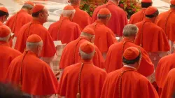 Cardinals gathered in St. Peter's Basilica for a consistory, Nov. 4, 2012. / Lewis Ashton Glancy/CNA.