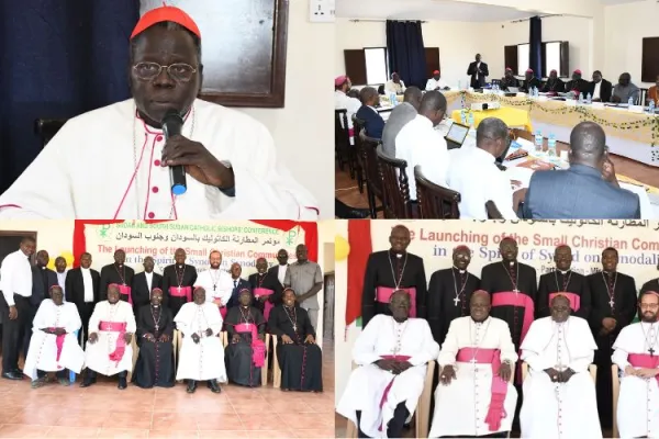 Cardinal Ameyu Raises Alarm Over “humanitarian crisis of unprecedented scale” in Sudan and South Sudan