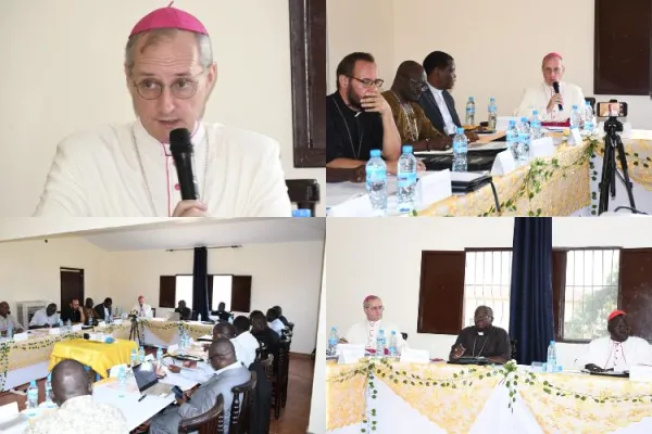 Help “form new habit of mind” to end Cycle of Violence, Apostolic Nuncio Urges Catholic Bishops in Sudan, South Sudan