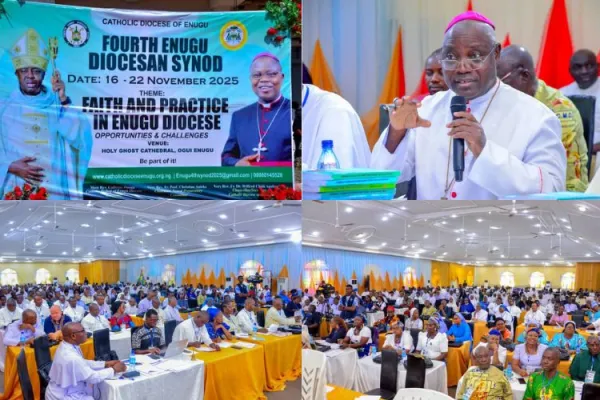 Nigerian Catholic Bishop Calls for "serious renewal" among Clergy to Address Sexual Abuse Allegations