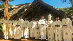 Members of the Zimbabwe Catholic Bishops' Conference (ZCBC). Credit: Catholic Church News Zimbabwe