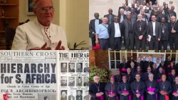 Stephen Cardinal Brislin. Credit: SACBC